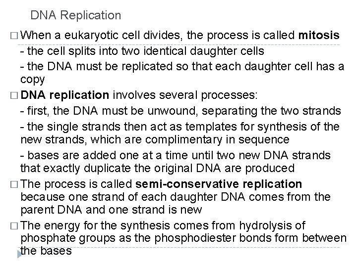 DNA Replication � When a eukaryotic cell divides, the process is called mitosis -