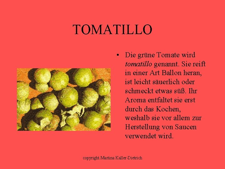 TOMATILLO • Die grüne Tomate wird tomatillo genannt. Sie reift in einer Art Ballon