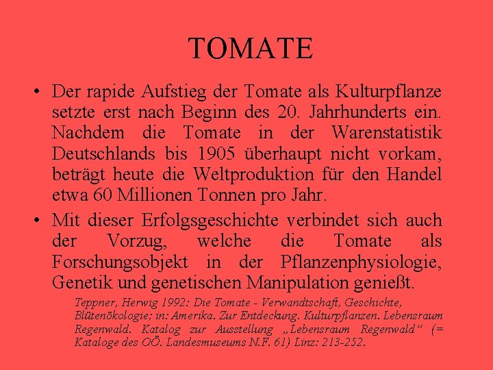 TOMATE • Der rapide Aufstieg der Tomate als Kulturpflanze setzte erst nach Beginn des