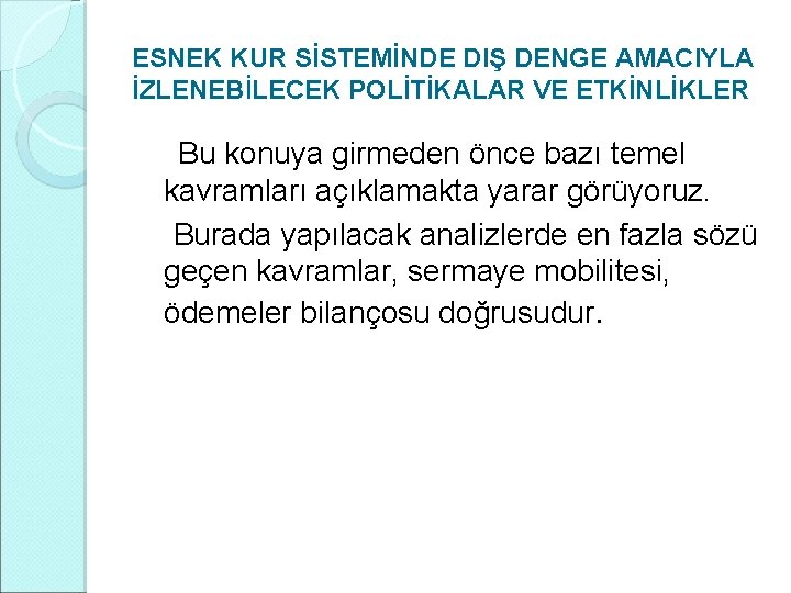 ESNEK KUR SİSTEMİNDE DIŞ DENGE AMACIYLA İZLENEBİLECEK POLİTİKALAR VE ETKİNLİKLER Bu konuya girmeden önce