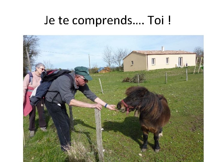 Je te comprends…. Toi ! Je te comprends…. Toi !