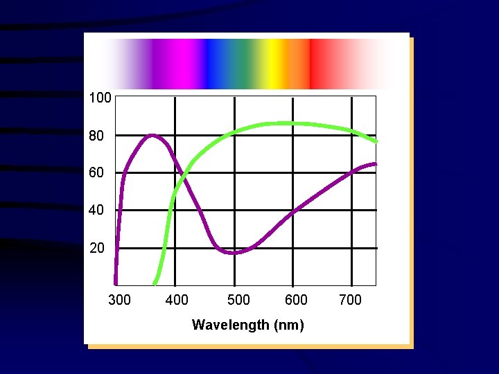 100 80 60 40 20 300 400 500 600 Wavelength (nm) 700 