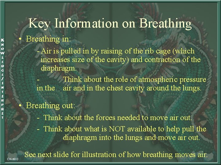 Key Information on Breathing • Breathing in: - Air is pulled in by raising