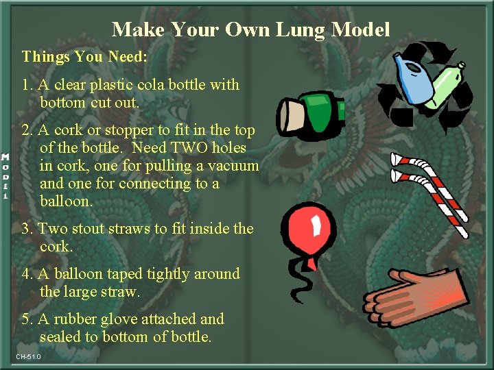 Make Your Own Lung Model Things You Need: 1. A clear plastic cola bottle