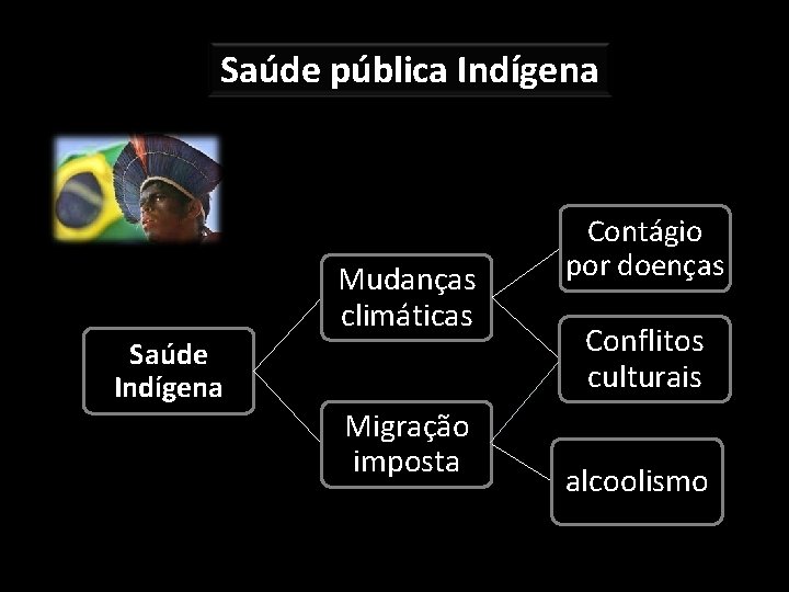 Saúde pública Indígena Mudanças climáticas Saúde Indígena Migração imposta Contágio por doenças Conflitos culturais