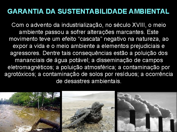 GARANTIA DA SUSTENTABILIDADE AMBIENTAL Com o advento da industrialização, no século XVIII, o meio