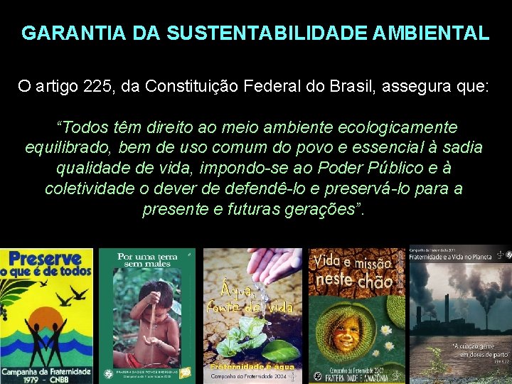 GARANTIA DA SUSTENTABILIDADE AMBIENTAL O artigo 225, da Constituição Federal do Brasil, assegura que: