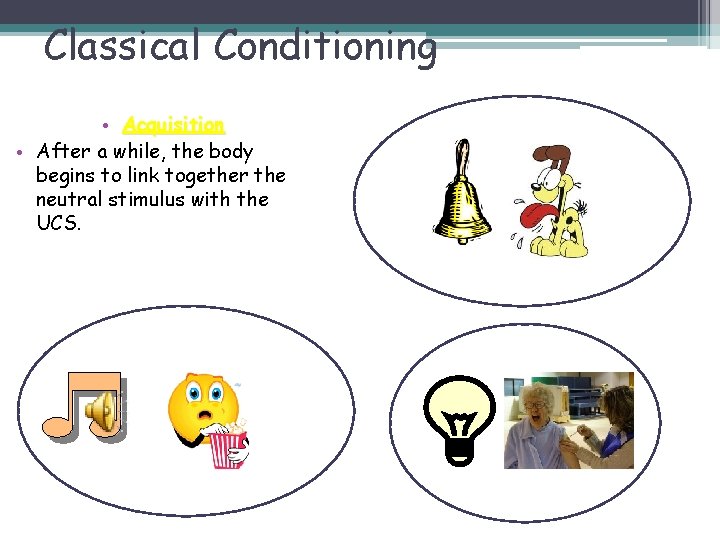 Classical Conditioning • Acquisition • After a while, the body begins to link together