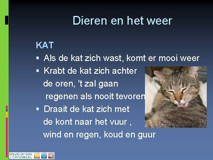 Dieren en het weer KAT Als de kat zich wast, komt er mooi weer