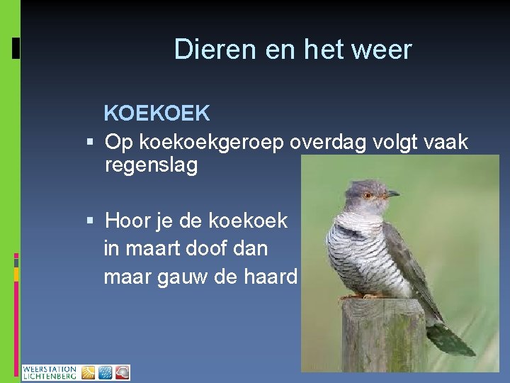 Dieren en het weer KOEKOEK Op koekoekgeroep overdag volgt vaak regenslag Hoor je de