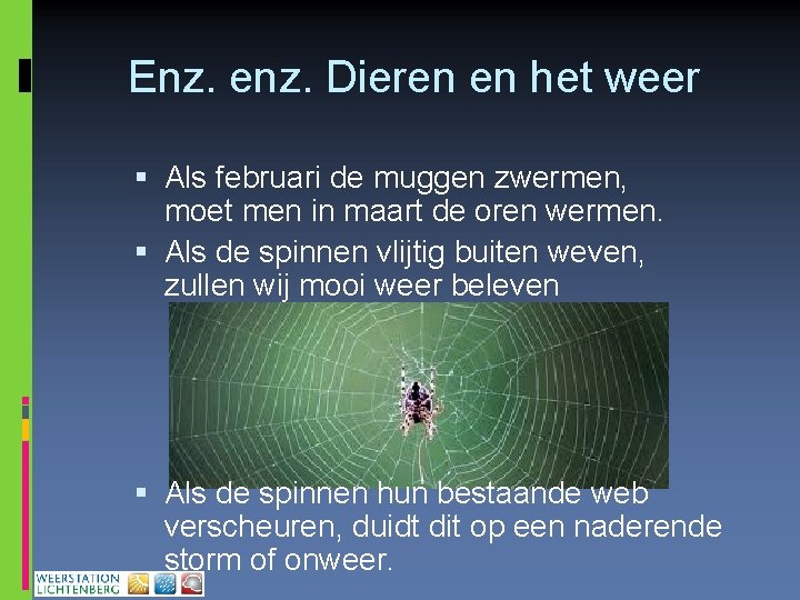 Enz. enz. Dieren en het weer Als februari de muggen zwermen, moet men in