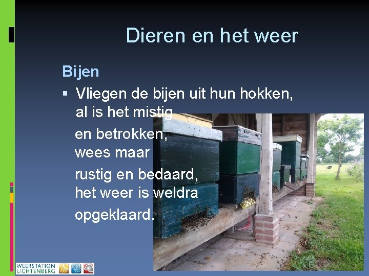 Dieren en het weer Bijen Vliegen de bijen uit hun hokken, al is het