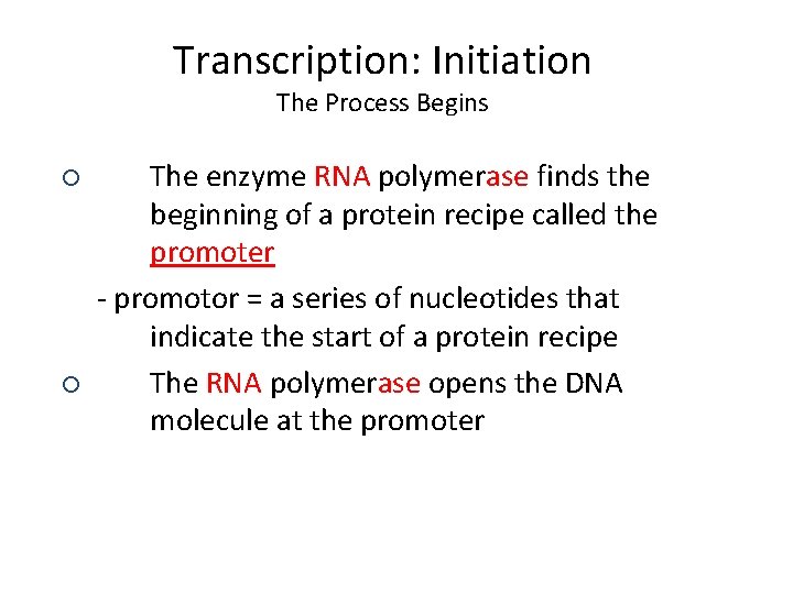 Transcription: Initiation The Process Begins ¡ ¡ The enzyme RNA polymerase finds the beginning