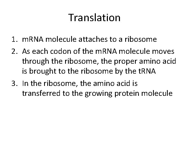 Translation 1. m. RNA molecule attaches to a ribosome 2. As each codon of