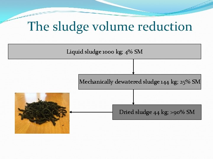 The sludge volume reduction Liquid sludge 1000 kg; 4% SM Mechanically dewatered sludge 144