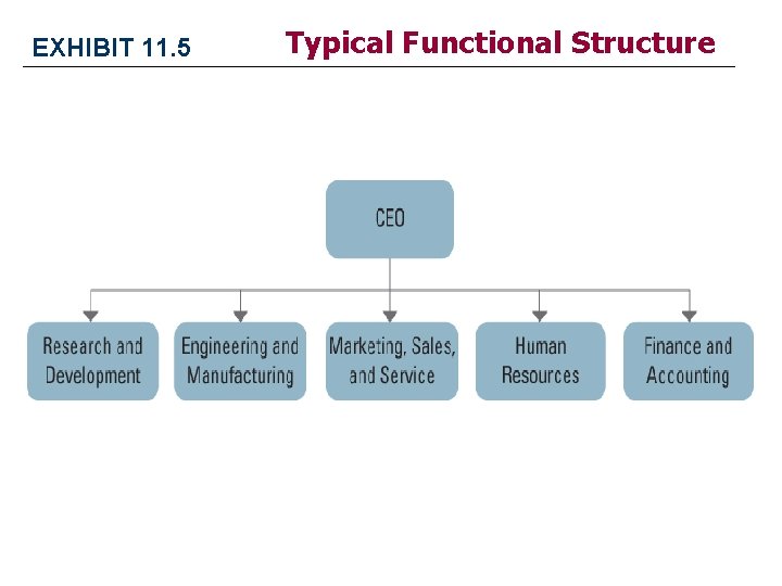 EXHIBIT 11. 5 Typical Functional Structure EXHIBIT 11. 5 Typical Functional Structure
