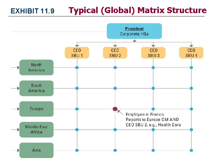 EXHIBIT 11. 9 Typical (Global) Matrix Structure EXHIBIT 11. 9 Typical (Global) Matrix Structure