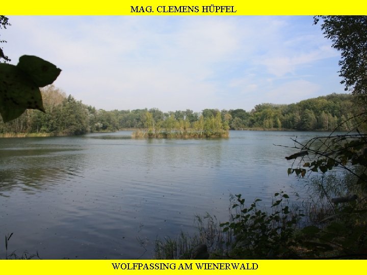 MAG. CLEMENS HÜPFEL WOLFPASSING AM WIENERWALD 