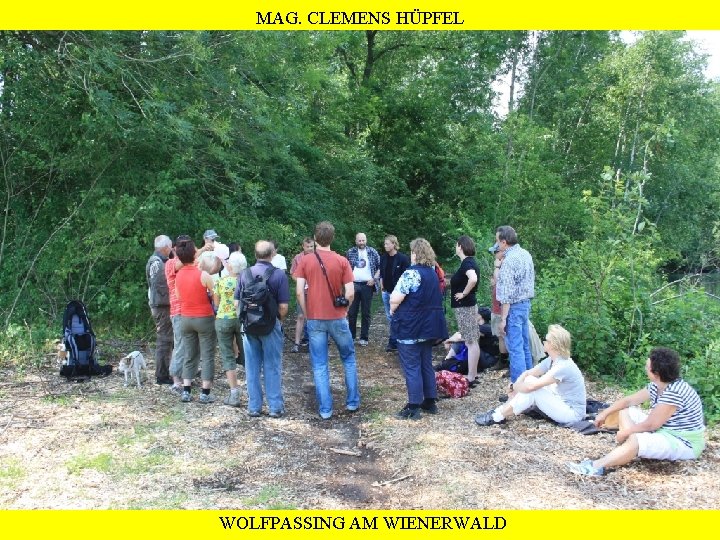 MAG. CLEMENS HÜPFEL WOLFPASSING AM WIENERWALD 