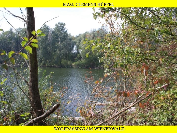 MAG. CLEMENS HÜPFEL WOLFPASSING AM WIENERWALD 