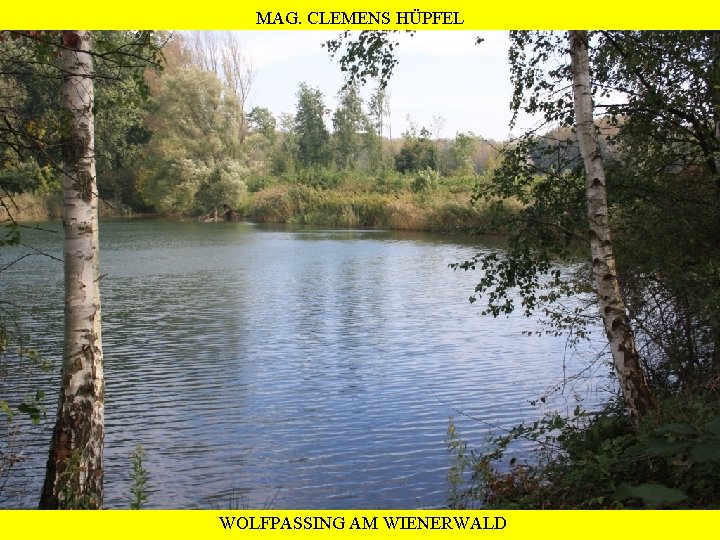 MAG. CLEMENS HÜPFEL WOLFPASSING AM WIENERWALD 