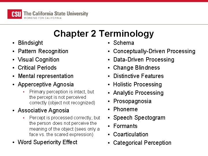 Chapter 2 Terminology • • • Blindsight Pattern Recognition Visual Cognition Critical Periods Mental