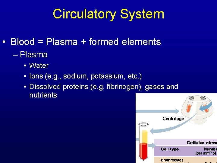 Circulatory System • Blood = Plasma + formed elements – Plasma • Water •