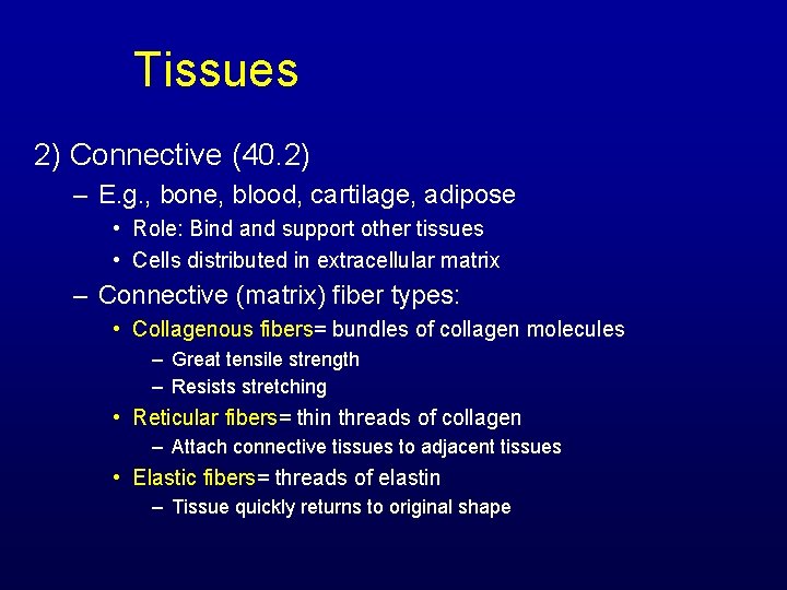 Tissues 2) Connective (40. 2) – E. g. , bone, blood, cartilage, adipose •