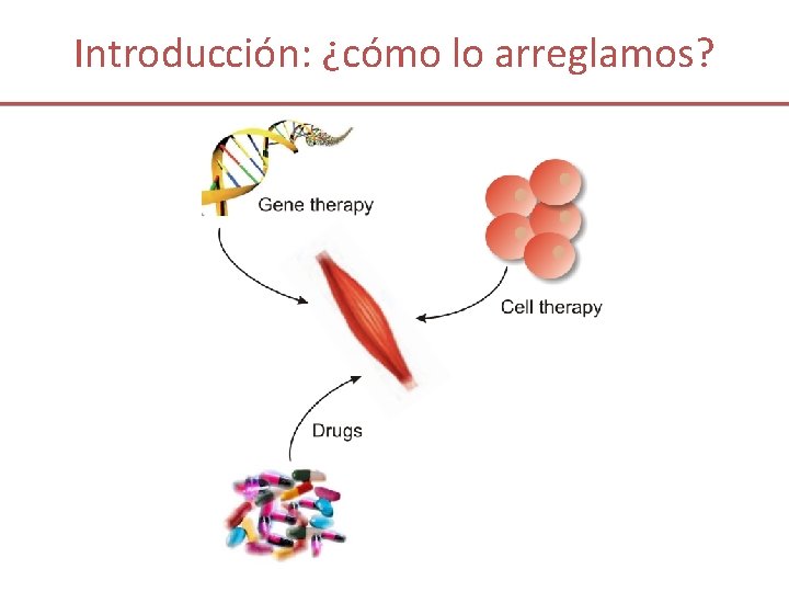 Introducción: ¿cómo lo arreglamos? 