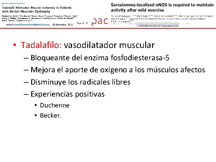 Tadalafilo en pacientes Duchenne • Tadalafilo: vasodilatador muscular – Bloqueante del enzima fosfodiesterasa-5 –