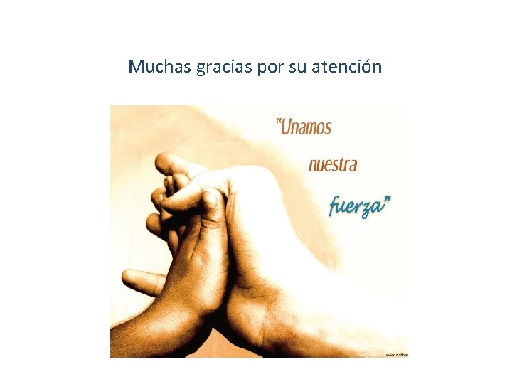 Muchas gracias por su atención 
