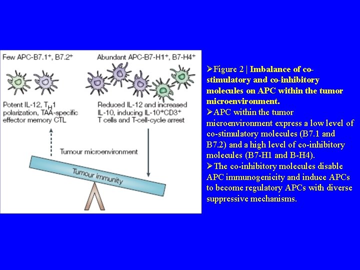 ØFigure 2 | Imbalance of costimulatory and co-inhibitory molecules on APC within the tumor