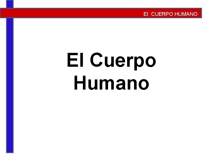 El CUERPO HUMANO El Cuerpo Humano 
