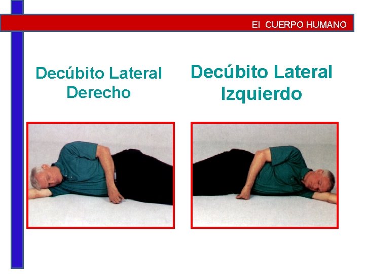 El CUERPO HUMANO Decúbito Lateral Derecho Decúbito Lateral Izquierdo 