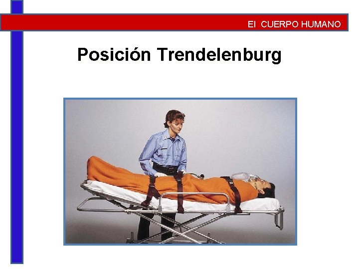 El CUERPO HUMANO Posición Trendelenburg 