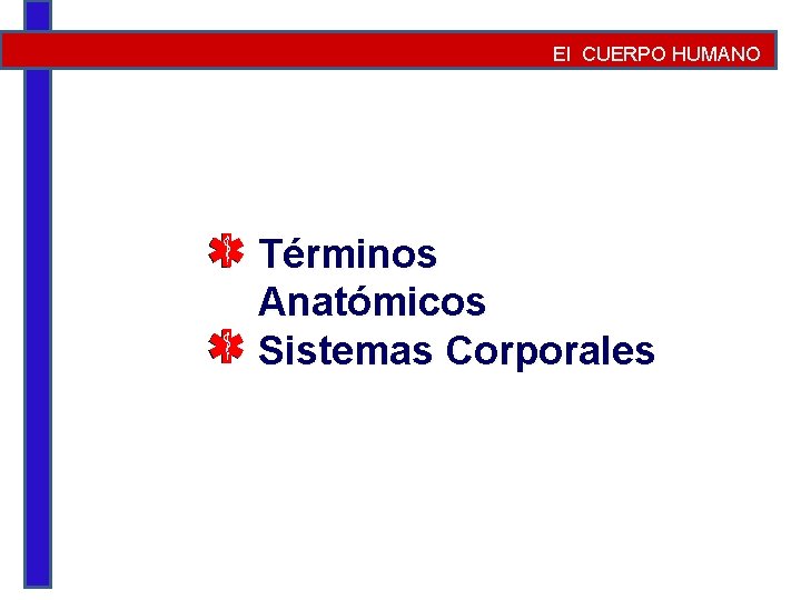 El CUERPO HUMANO Términos Anatómicos Sistemas Corporales 