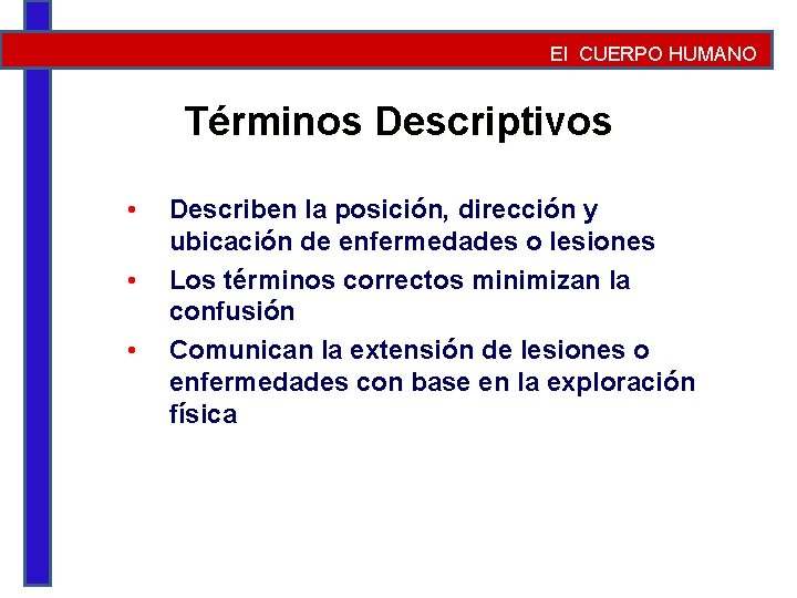 El CUERPO HUMANO Términos Descriptivos • • • Describen la posición, dirección y ubicación