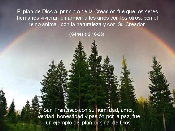 El plan de Dios al principio de la Creación fue que los seres humanos