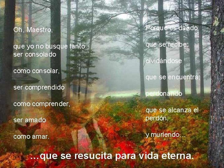 Oh, Maestro, Porque es dando que yo no busque tanto ser consolado que se Oh, Maestro, Porque es dando que yo no busque tanto ser consolado que se