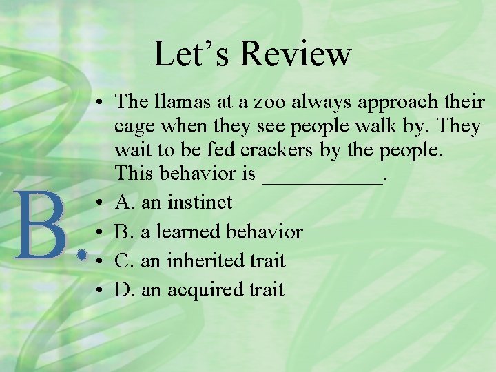 Let’s Review • The llamas at a zoo always approach their cage when they