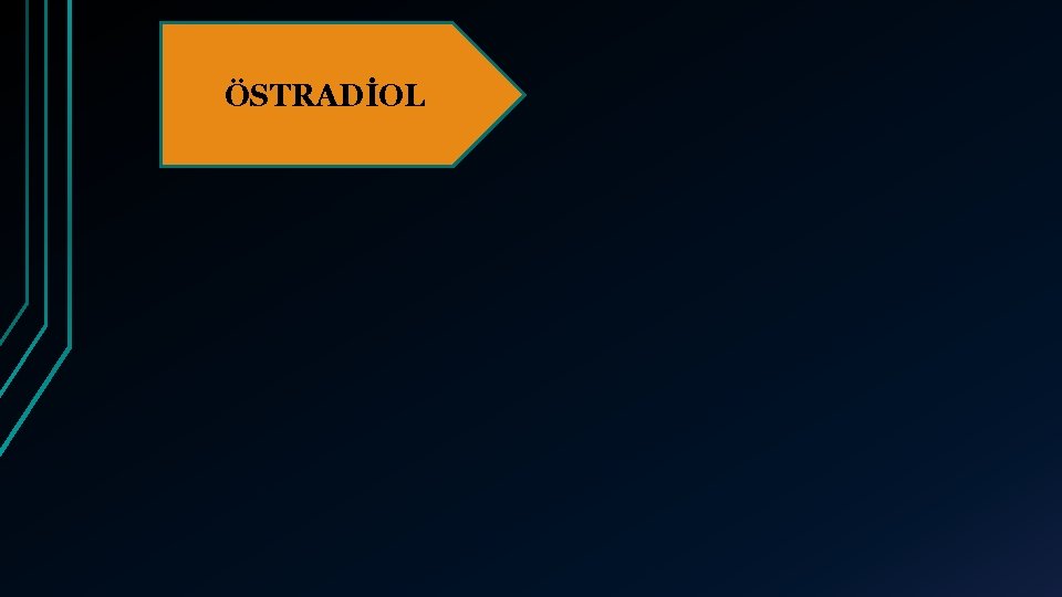 ÖSTRADİOL 