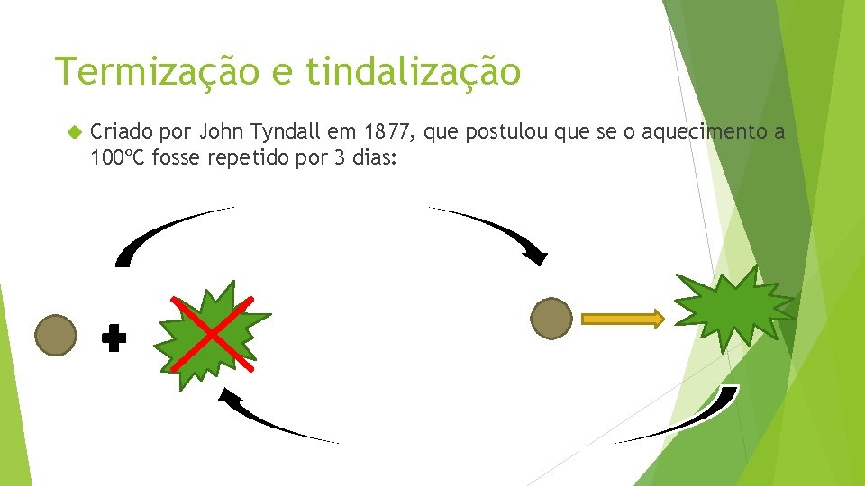 Termização e tindalização Criado por John Tyndall em 1877, que postulou que se o