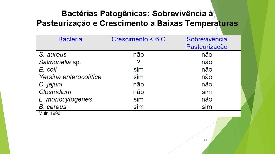 Bactérias Patogênicas: Sobrevivência à Pasteurização e Crescimento a Baixas Temperaturas 23 