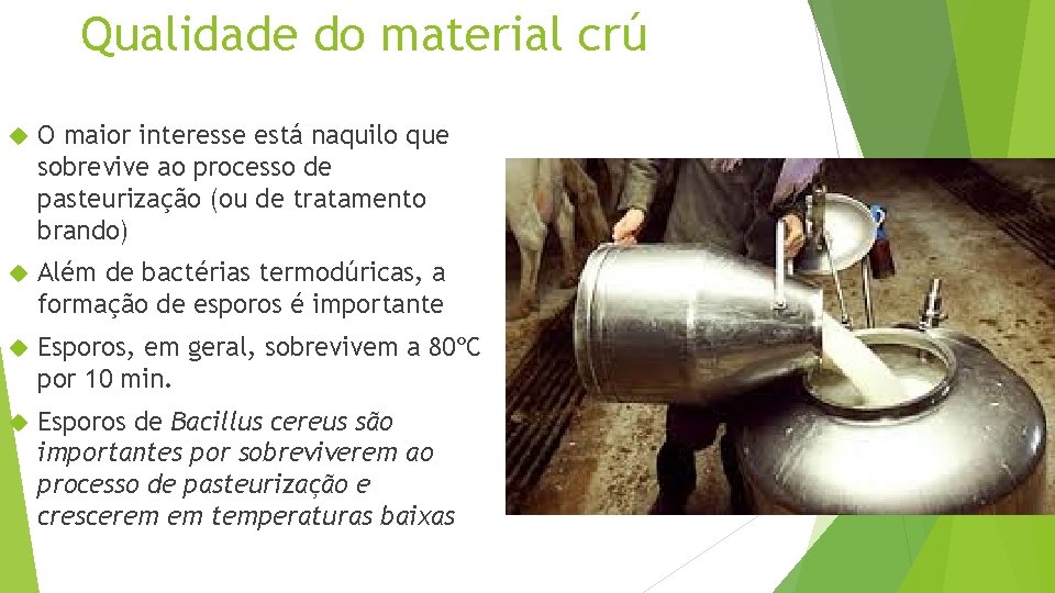 Qualidade do material crú O maior interesse está naquilo que sobrevive ao processo de