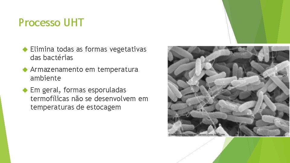 Processo UHT Elimina todas as formas vegetativas das bactérias Armazenamento em temperatura ambiente Em