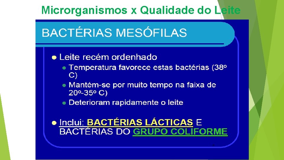 Microrganismos x Qualidade do Leite 4 