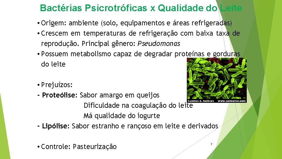 Bactérias Psicrotróficas x Qualidade do Leite • Origem: ambiente (solo, equipamentos e áreas refrigeradas)