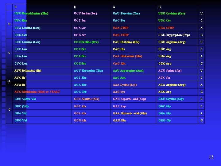 U C A G UUU Phenylalanine (Phe) UCU Serine (Ser) UAU Tyrosine (Tyr) UGU