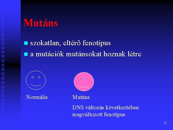 Mutáns szokatlan, eltérő fenotípus n a mutációk mutánsokat hoznak létre n Normális Mutáns DNS