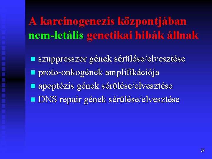 A karcinogenezis központjában nem-letális genetikai hibák állnak szuppresszor gének sérülése/elvesztése n proto-onkogének amplifikációja n